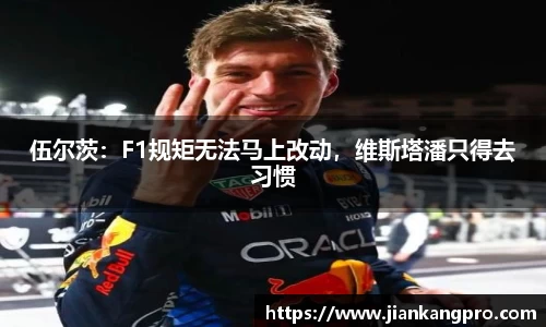 伍尔茨：F1规矩无法马上改动，维斯塔潘只得去习惯
